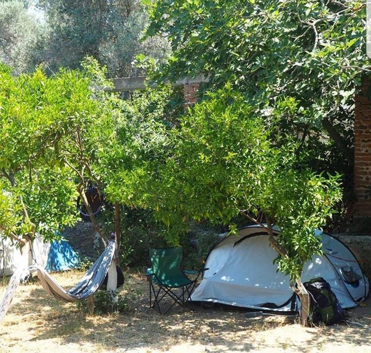 Bodrum Masali Camping Gümüşlük Eksteriør bilde