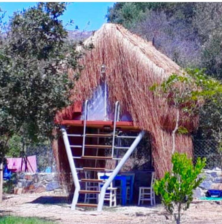 Bodrum Masali Camping Gümüşlük Eksteriør bilde