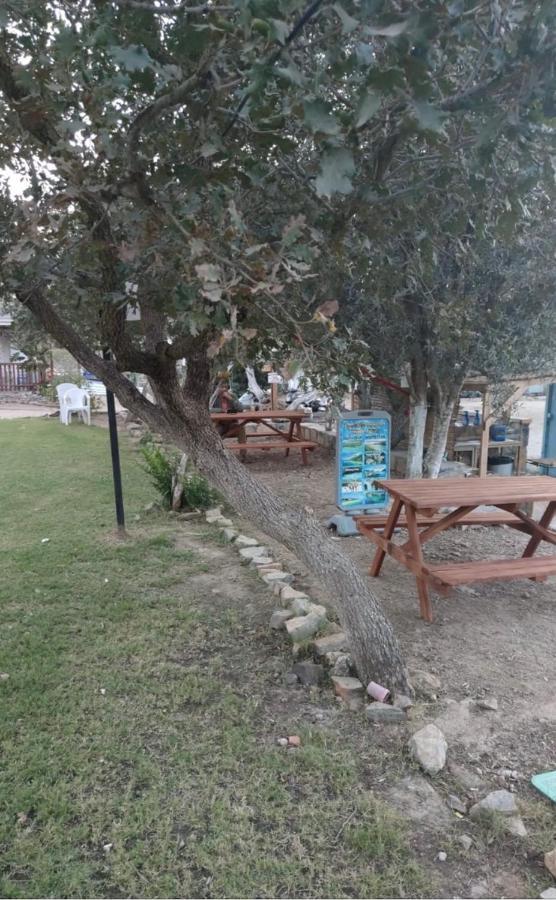 Bodrum Masali Camping Gümüşlük Eksteriør bilde