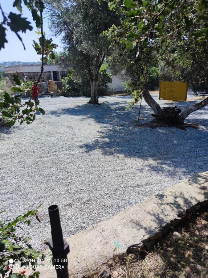 Bodrum Masali Camping Gümüşlük Eksteriør bilde