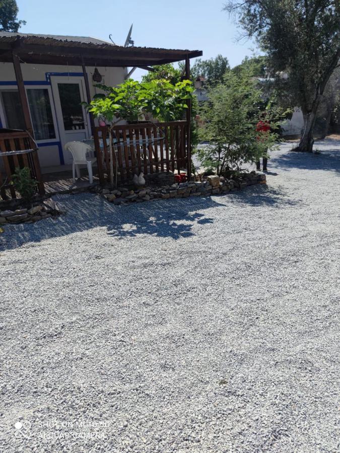 Bodrum Masali Camping Gümüşlük Eksteriør bilde