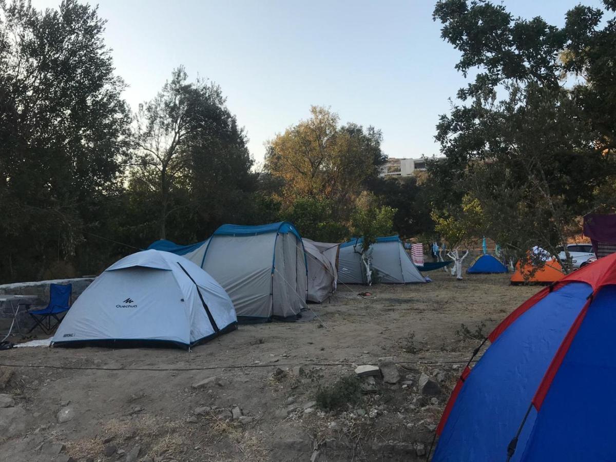 Bodrum Masali Camping Gümüşlük Eksteriør bilde