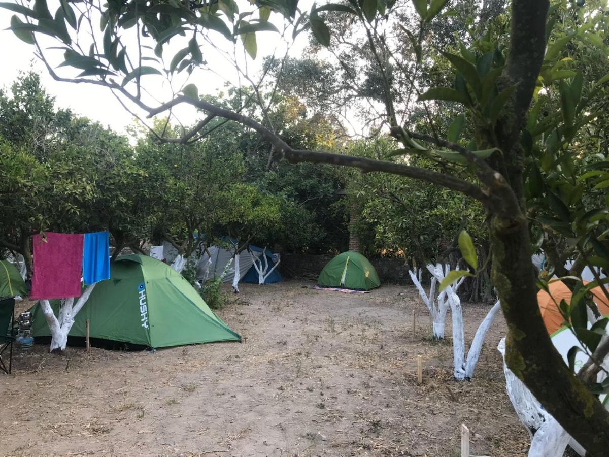 Bodrum Masali Camping Gümüşlük Eksteriør bilde