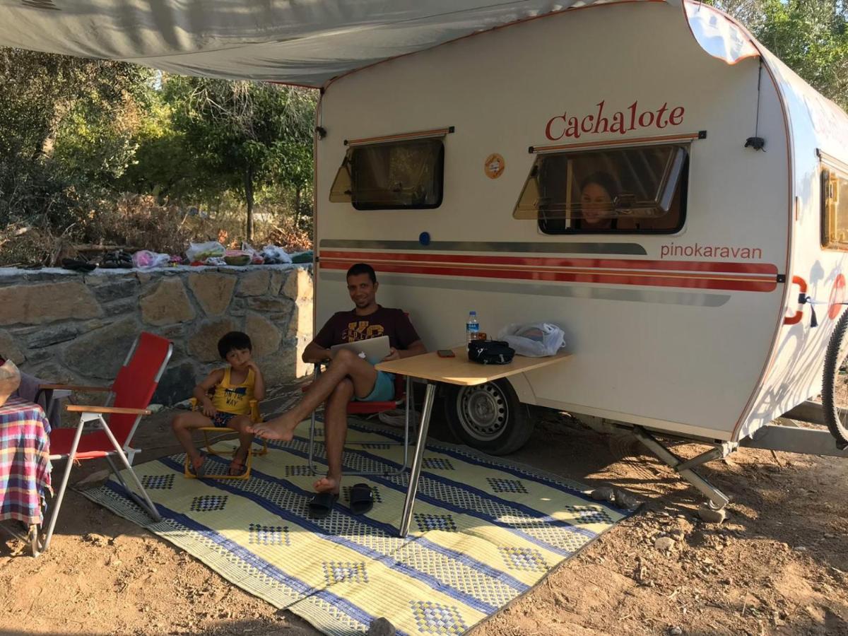 Bodrum Masali Camping Gümüşlük Eksteriør bilde