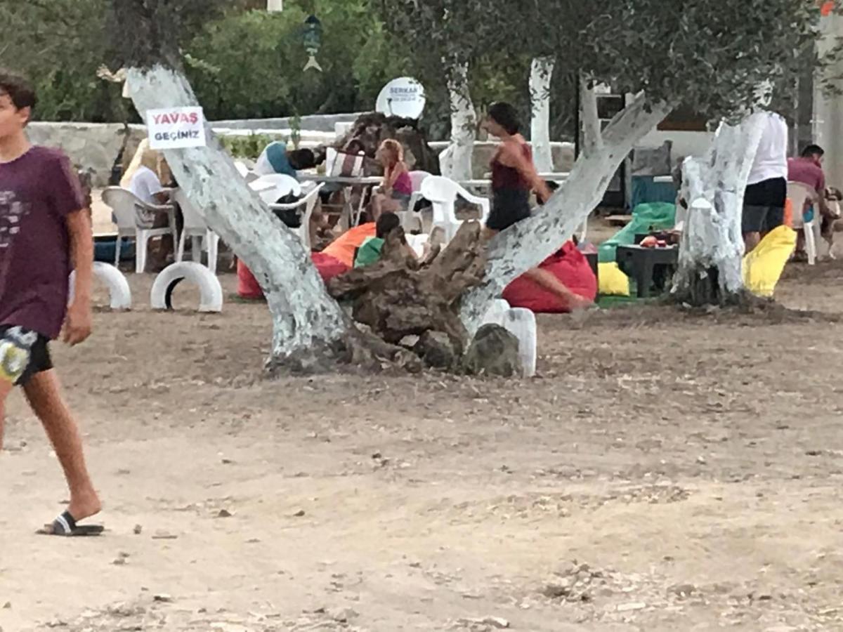 Bodrum Masali Camping Gümüşlük Eksteriør bilde